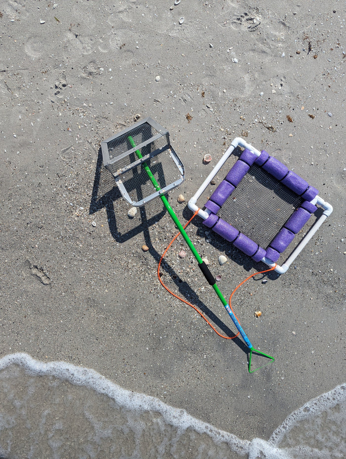 Manasota Key Shark Tooth Hunting Report, Sunday, August 9, 2026