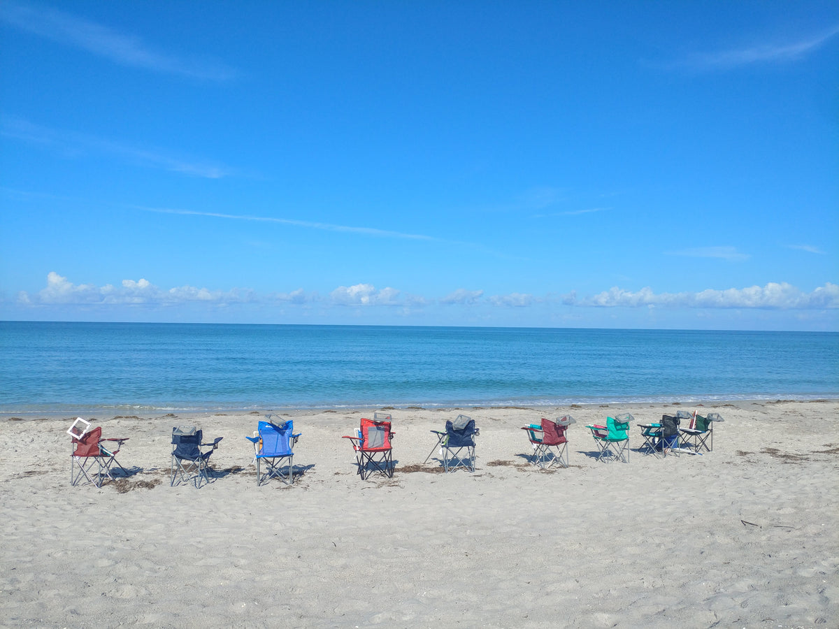 Manasota Key Shark Tooth Hunting Report, Monday, August 10, 2026