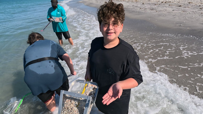 Manasota Key Shark Tooth Hunting Report, Saturday, August 8, 2026